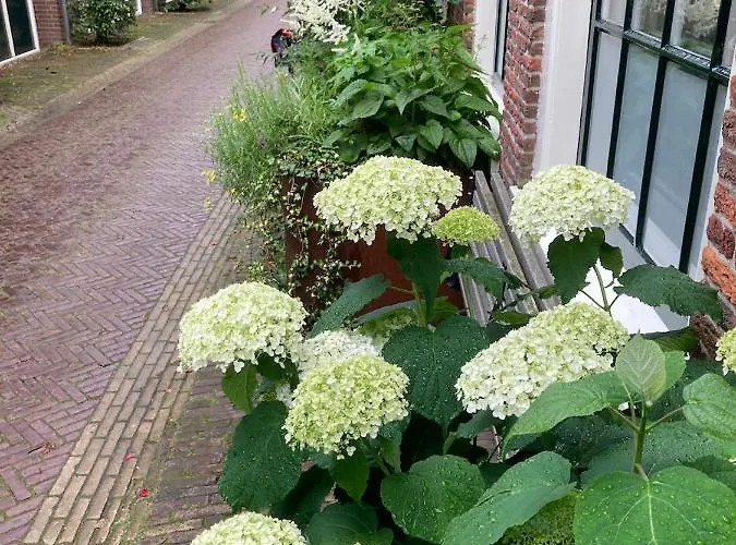 Guesthouseone Frühstückspension 4*