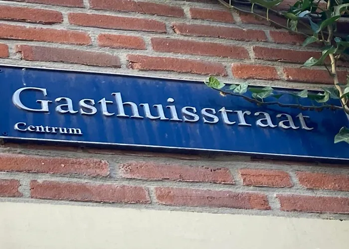 Nocleg ze śniadaniem Guesthouseone Haarlem